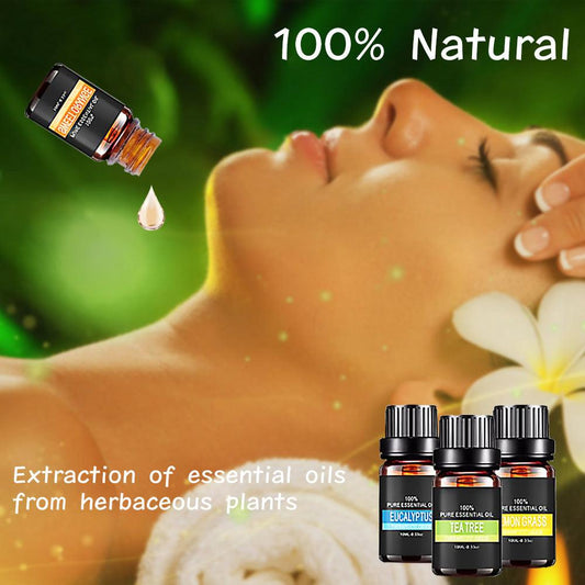 Organic Aromatherapy Essential Oils Set – 6 x 10ml Bottles.