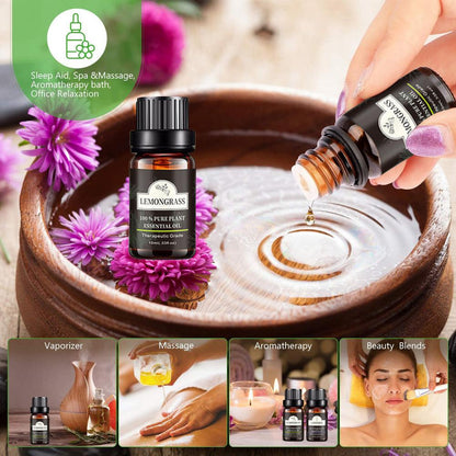 Plant-based essential oils set for relaxation and wellness routines
Variety pack of essential oils for general skin care and massage