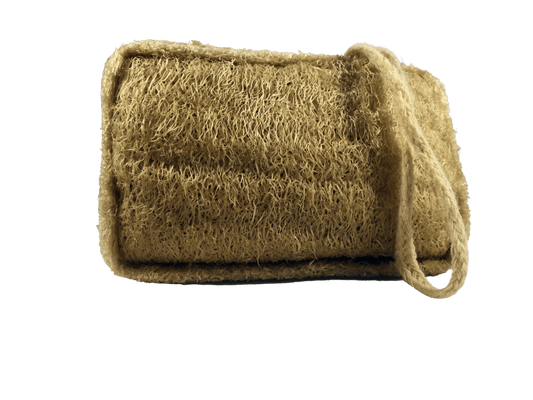 Natural Loofah Sponge